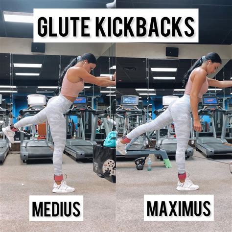 glute max kickback|Single Extended Range Glute Max Kickback